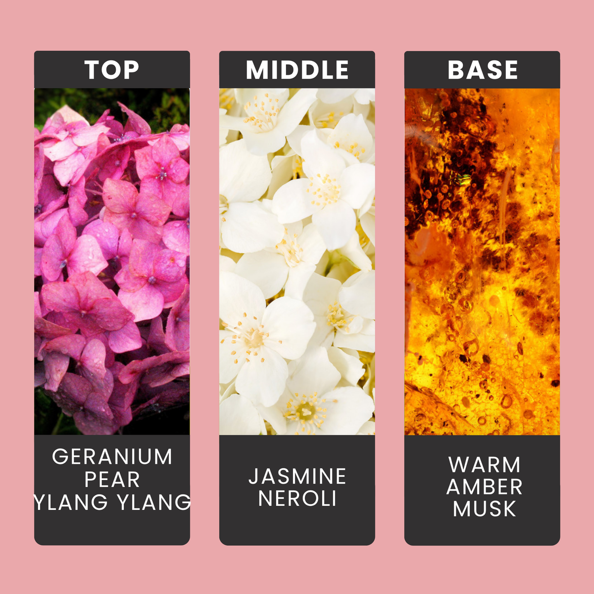 Spa Day fragrance oil notes: crisp citrus, bergamot tea and mandarin with jasmine, violet, musk and amber