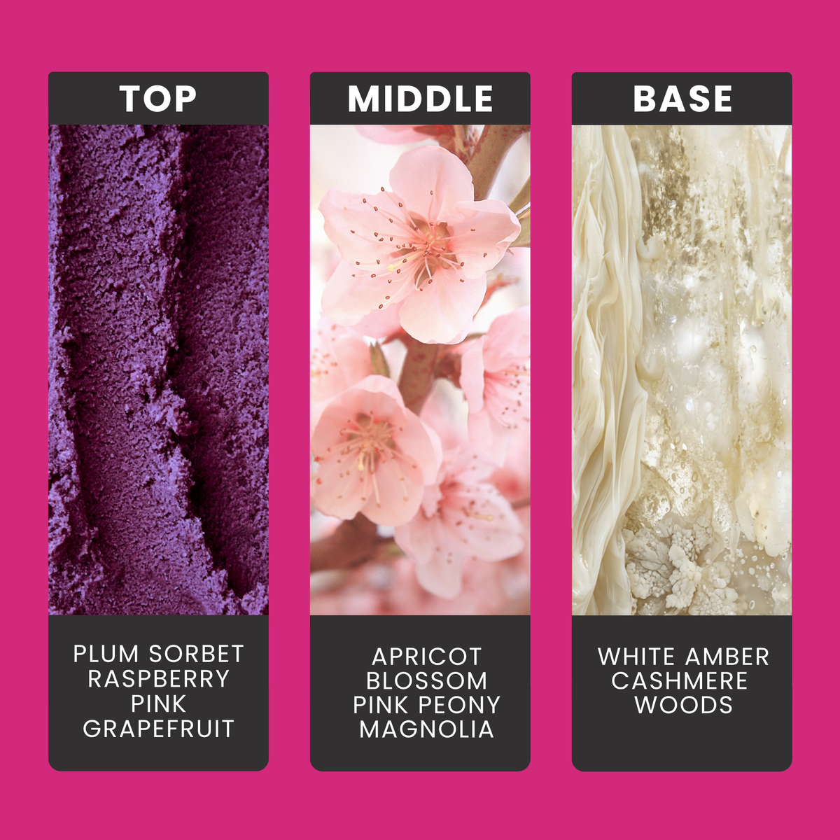 sugar-plum-passion-fragrance-oil-notes