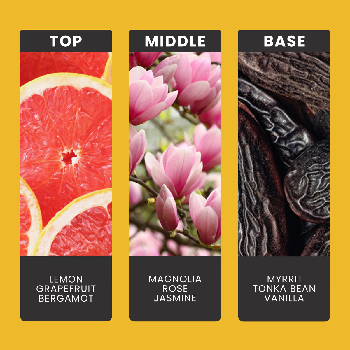 Tonka Bean & Myrrh fragrance oil notes: top – lemon, grapefruit, bergamot; middle – magnolia, rose, jasmine; base – myrrh, tonka bean, vanilla