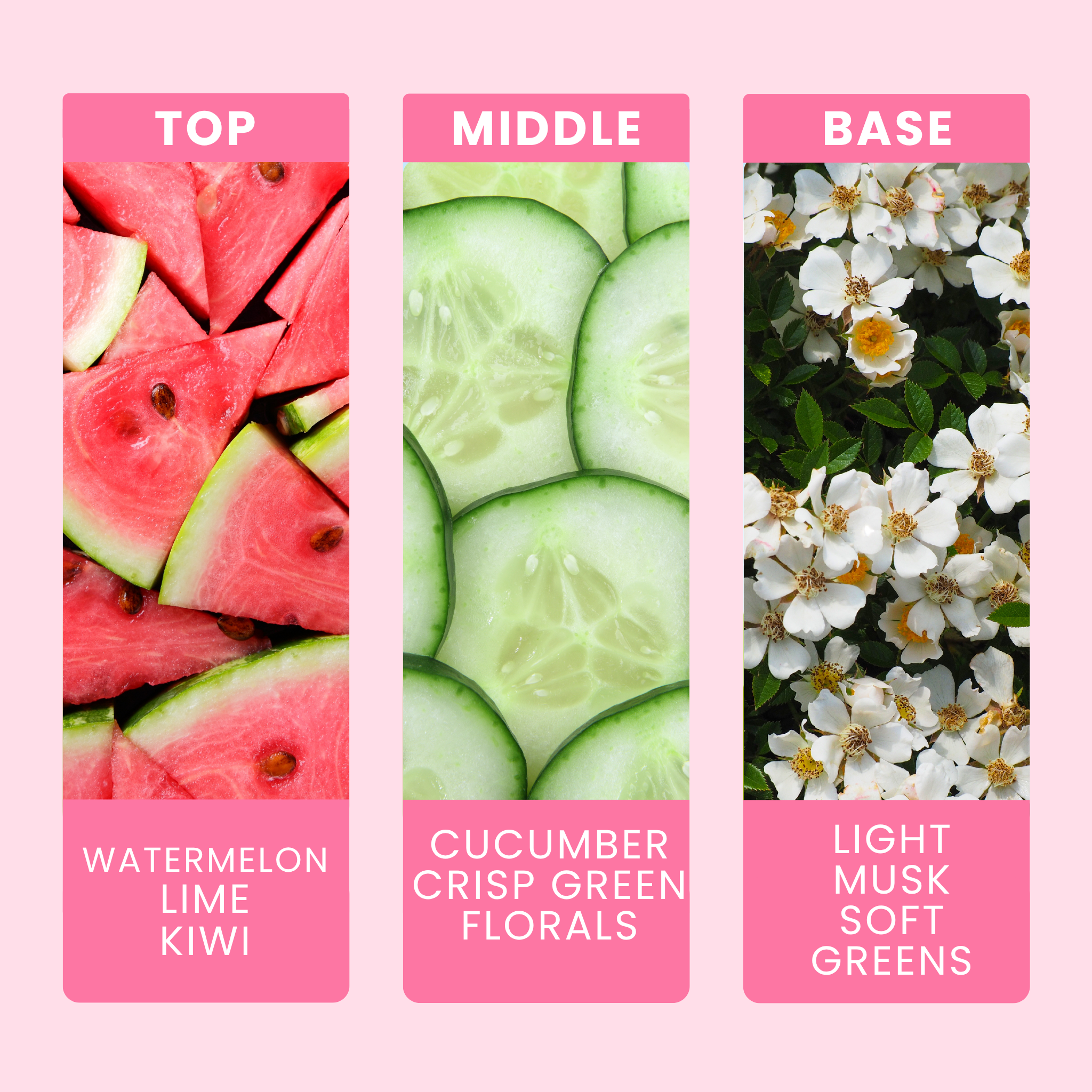 watermelon-fragrance-oil-notes