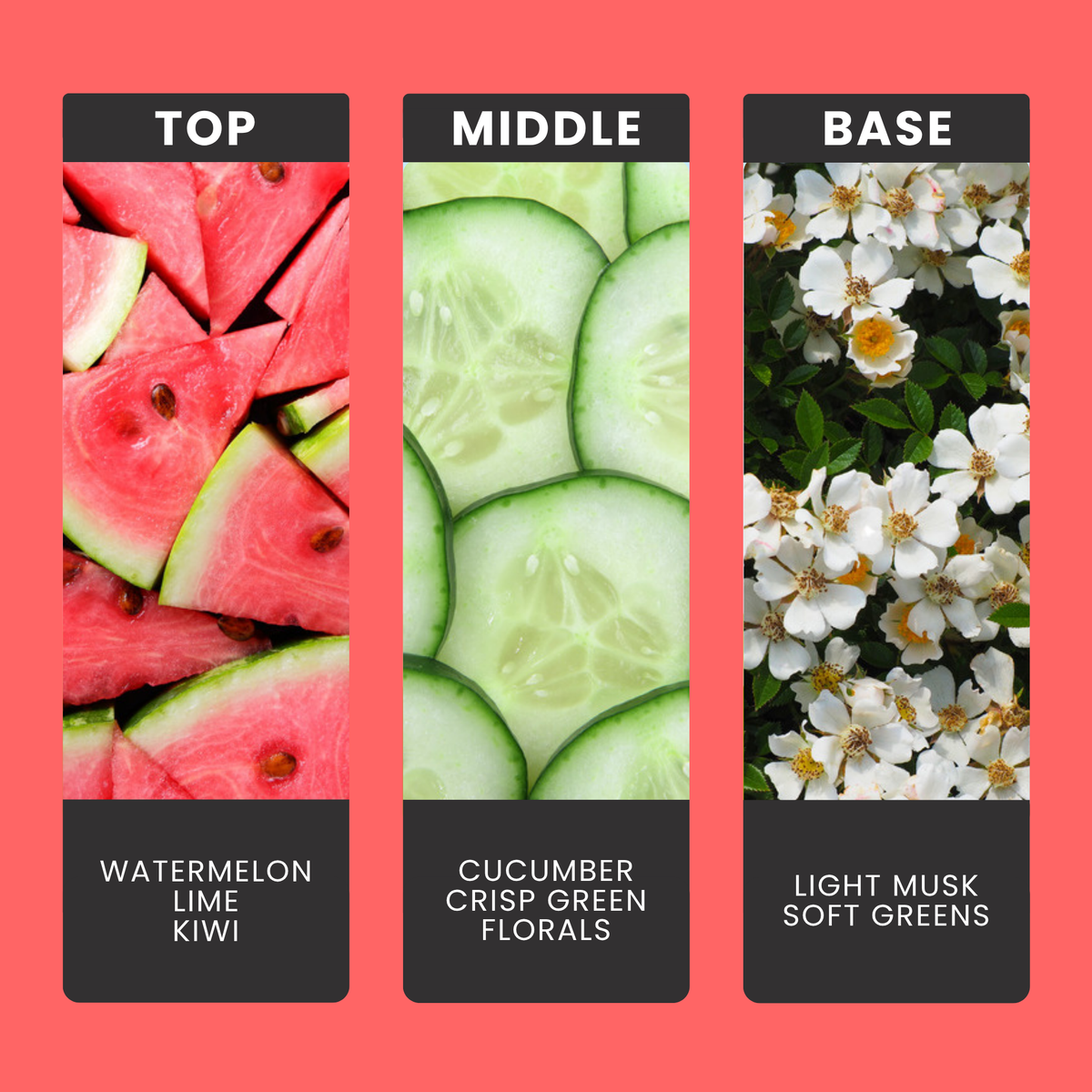 Watermelon fragrance oil notes: top – watermelon, lime, kiwi; middle – cucumber, crisp green florals; base – light musk, soft greens