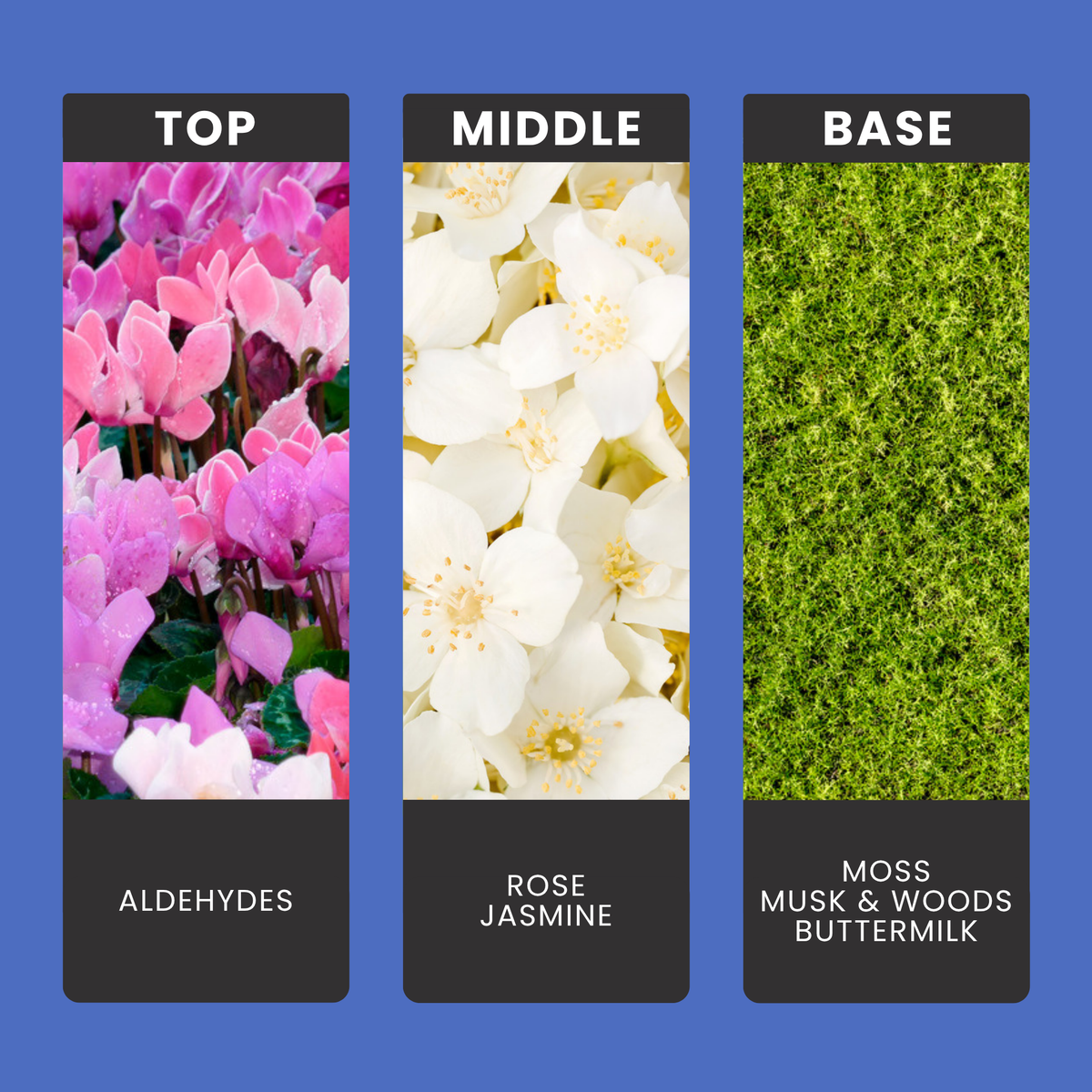 White Dove fragrance oil notes: top – aldehydes; middle – rose, jasmine; base – moss, musk & woods, buttermilk