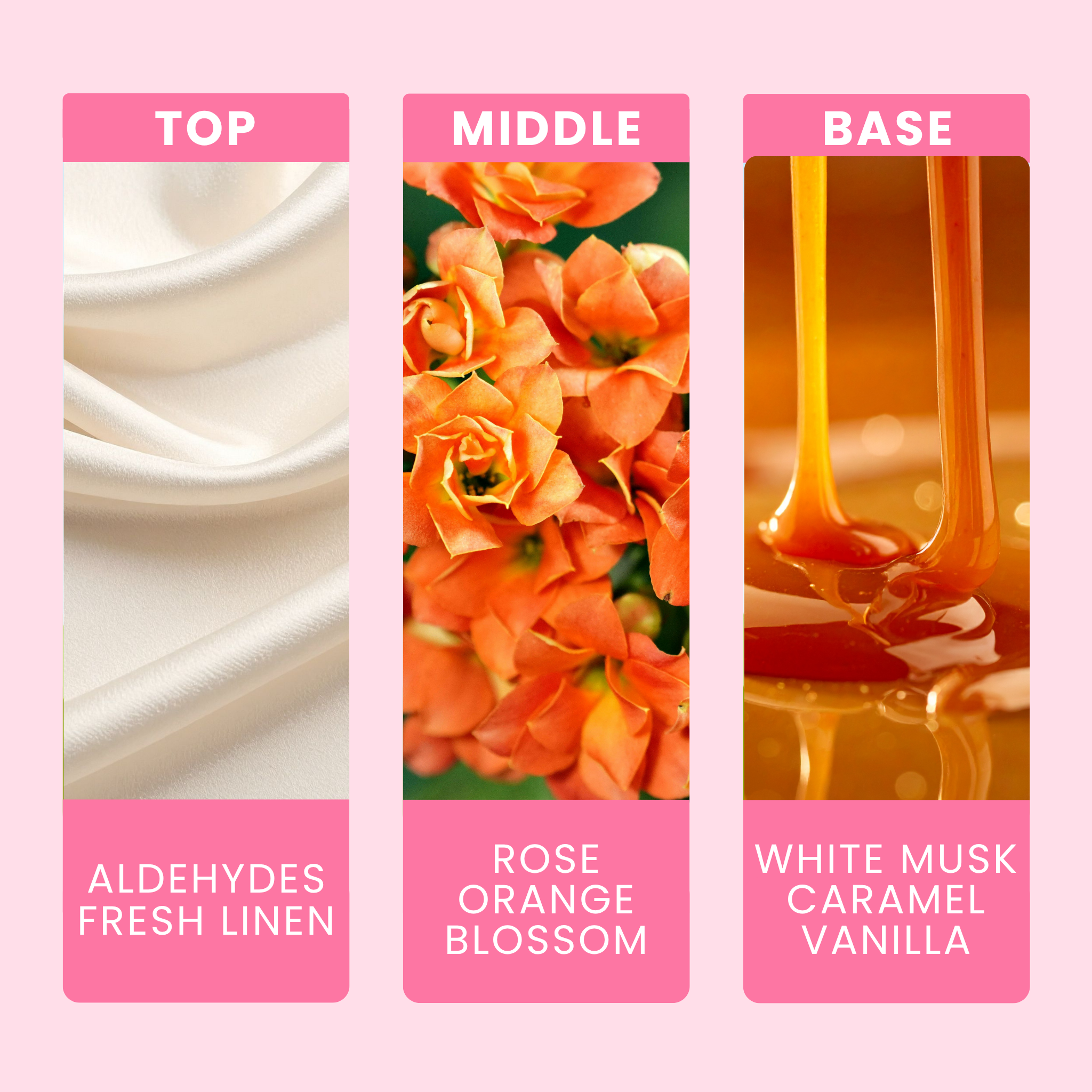 white-musk-and-golden-maple-fragrance-oil-notes