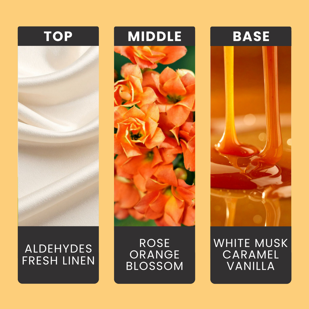 White Musk & Golden Maple fragrance oil notes: fruity aldehydes and dried linen with rose and orange blossom over musk and caramel