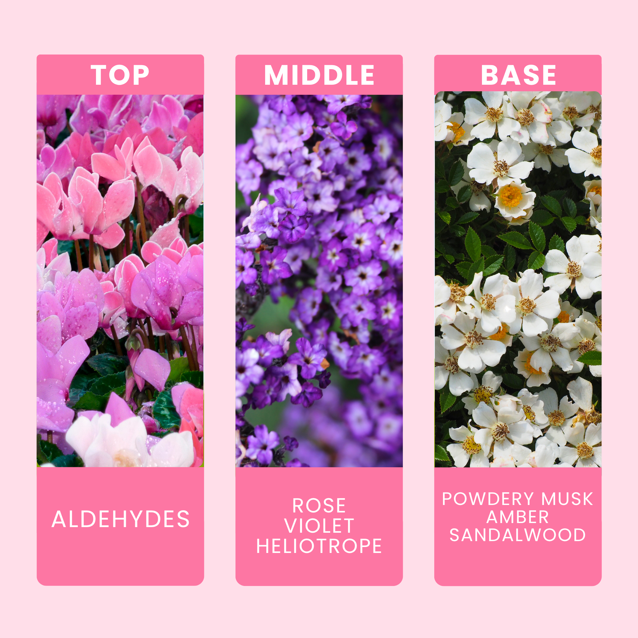 white-musk-fragrance-oil-notes