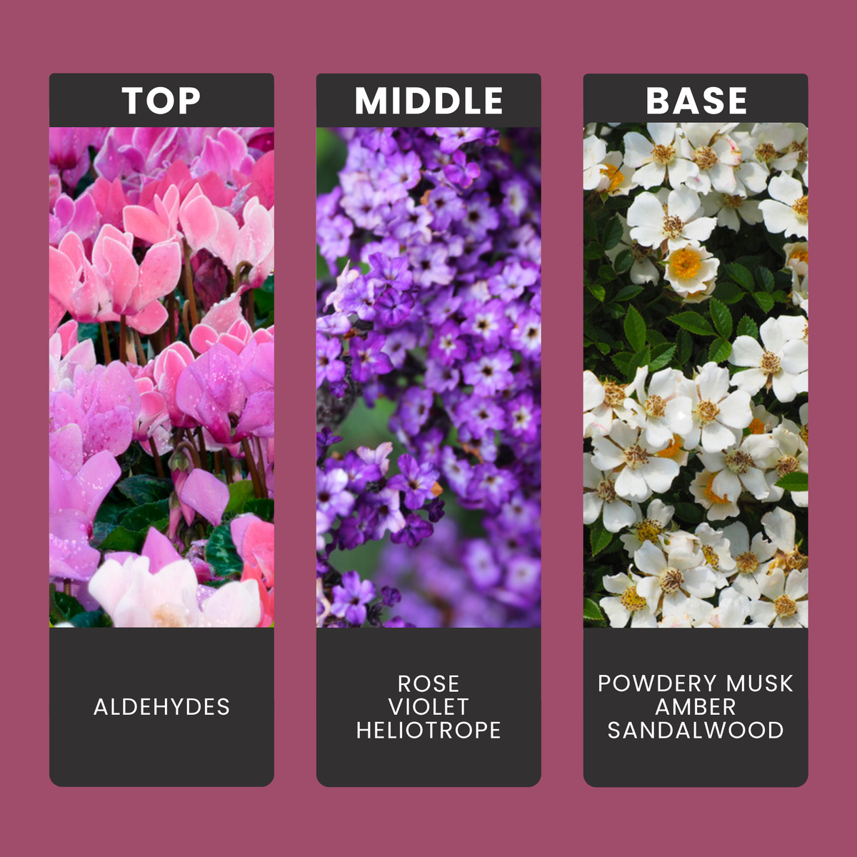 White Musk fragrance oil notes: top – aldehydes; middle – rose, violet, heliotrope; base – powdery musk, amber, sandalwood