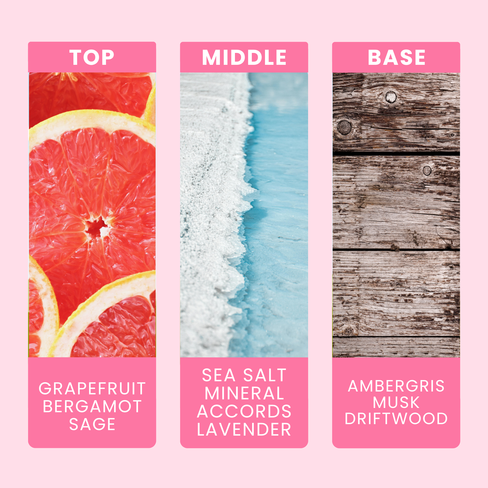 wood-sage-and-sea-salt-fragrance-oil-notes