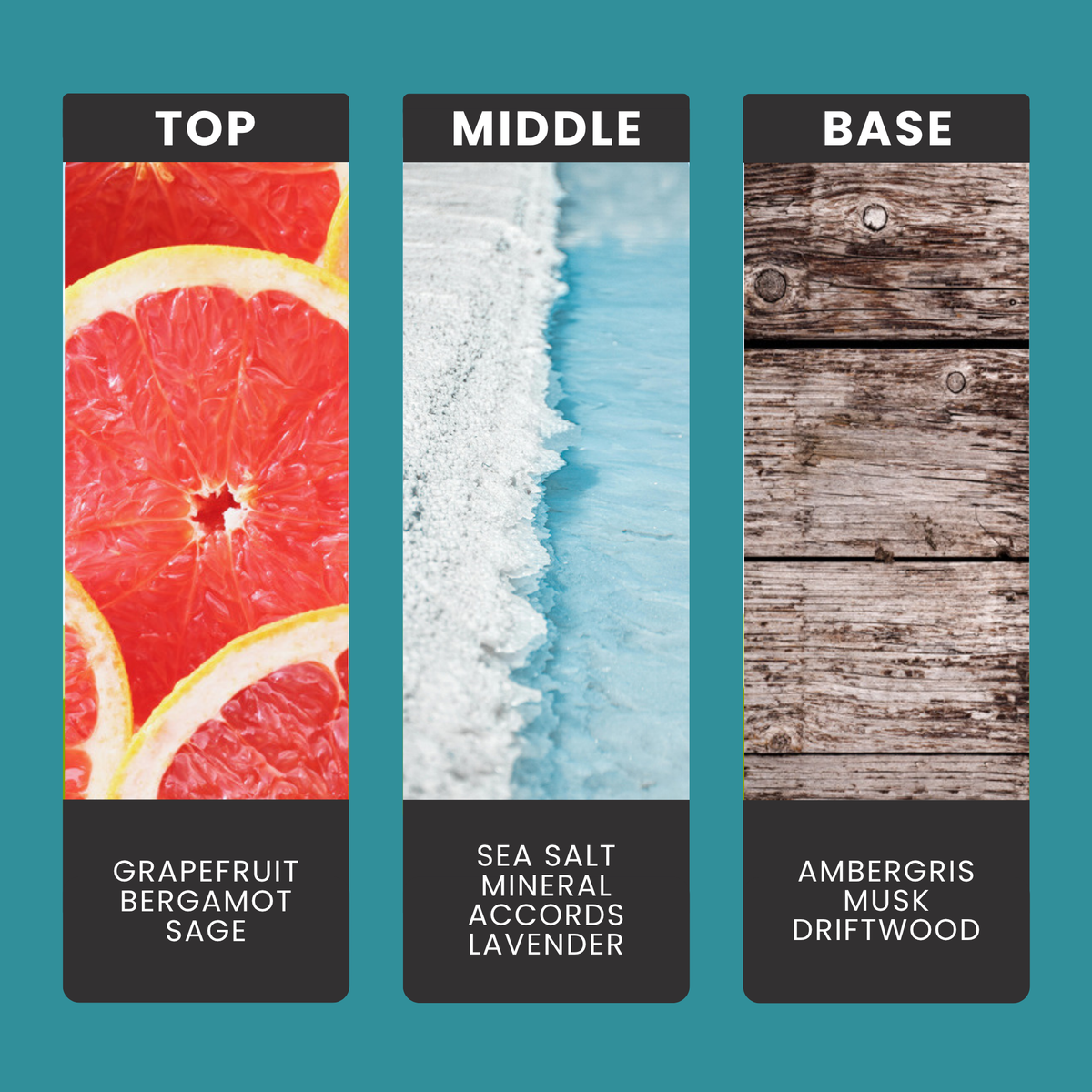 Wood Sage & Sea Salt fragrance oil notes: top – grapefruit, bergamot, sage; middle – sea salt, mineral accords, lavender; base – ambergris, musk, driftwood