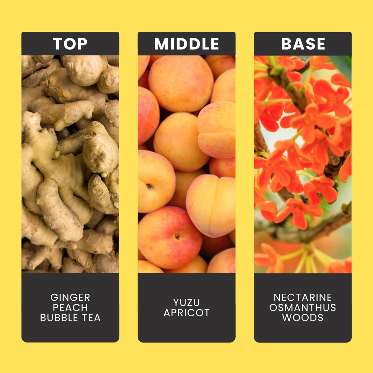 You, Me & Bubble Tea fragrance oil notes: top – ginger, peach, bubble tea; middle – yuzu, apricot; base – nectarine, osmanthus, woods