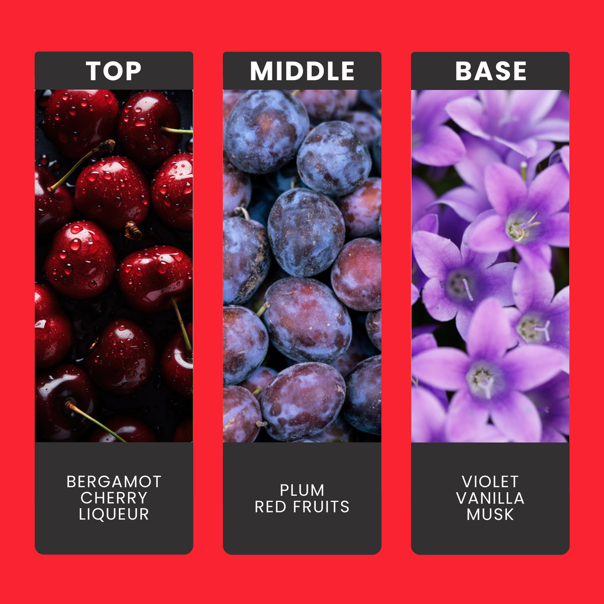 You're My Jam fragrance oil notes: top – bergamot, cherry liqueur; middle – plum, red fruits; base – violet, vanilla, musk