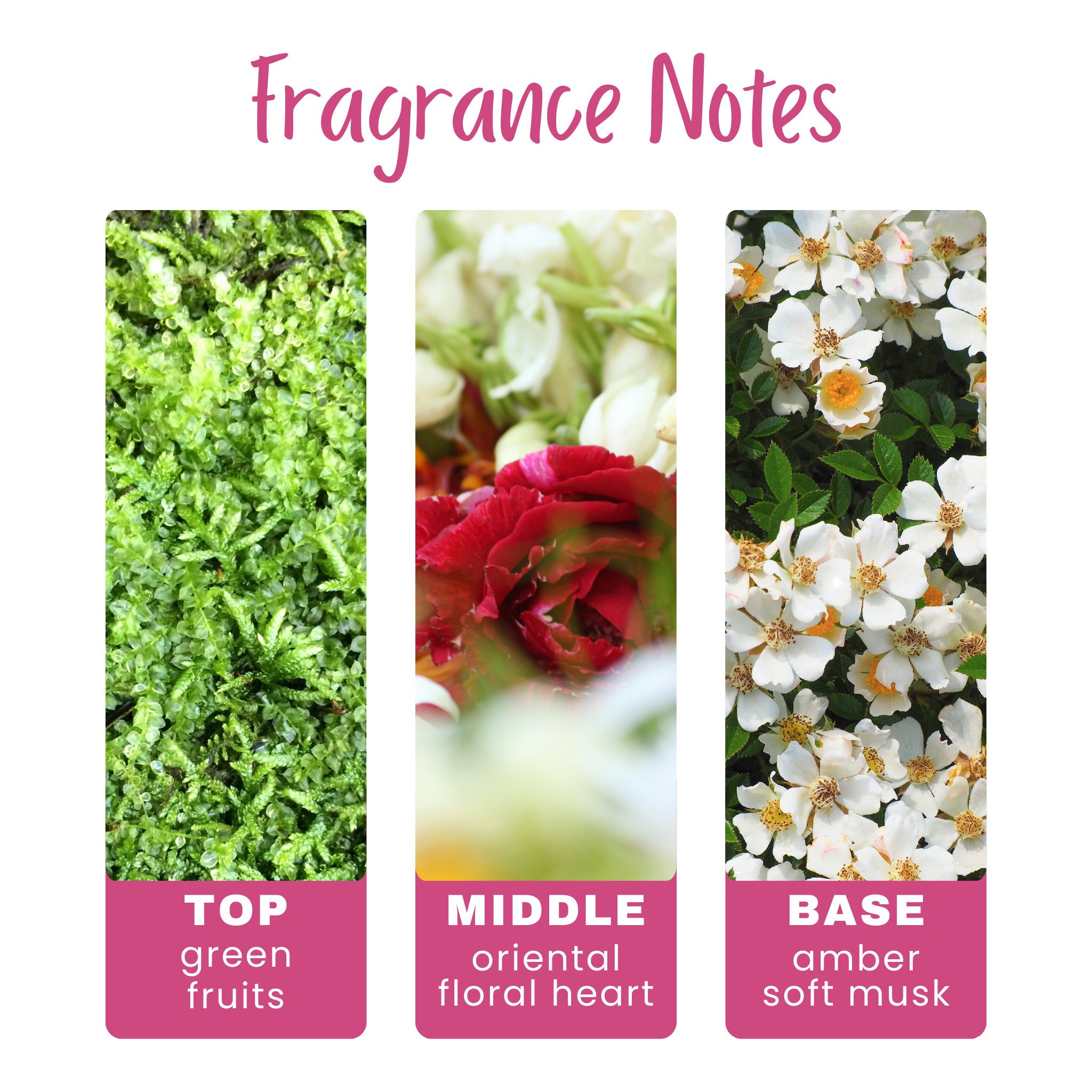 Alien Fragrance Notes