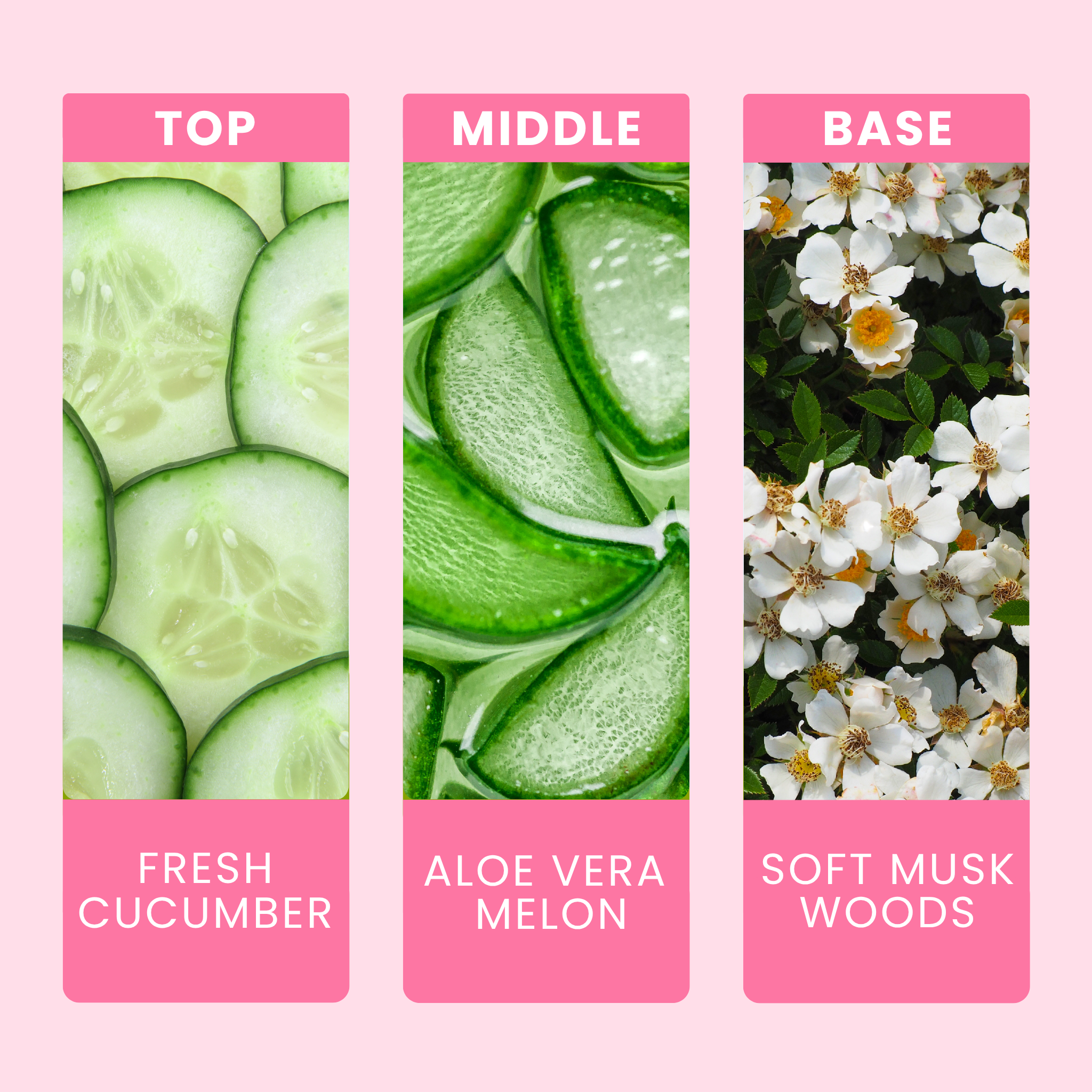 Aloe And Cucumber Fragrance Oil Notes For Wax Melts