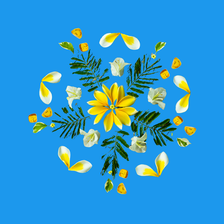 Amber Solstice Fragrance Oil