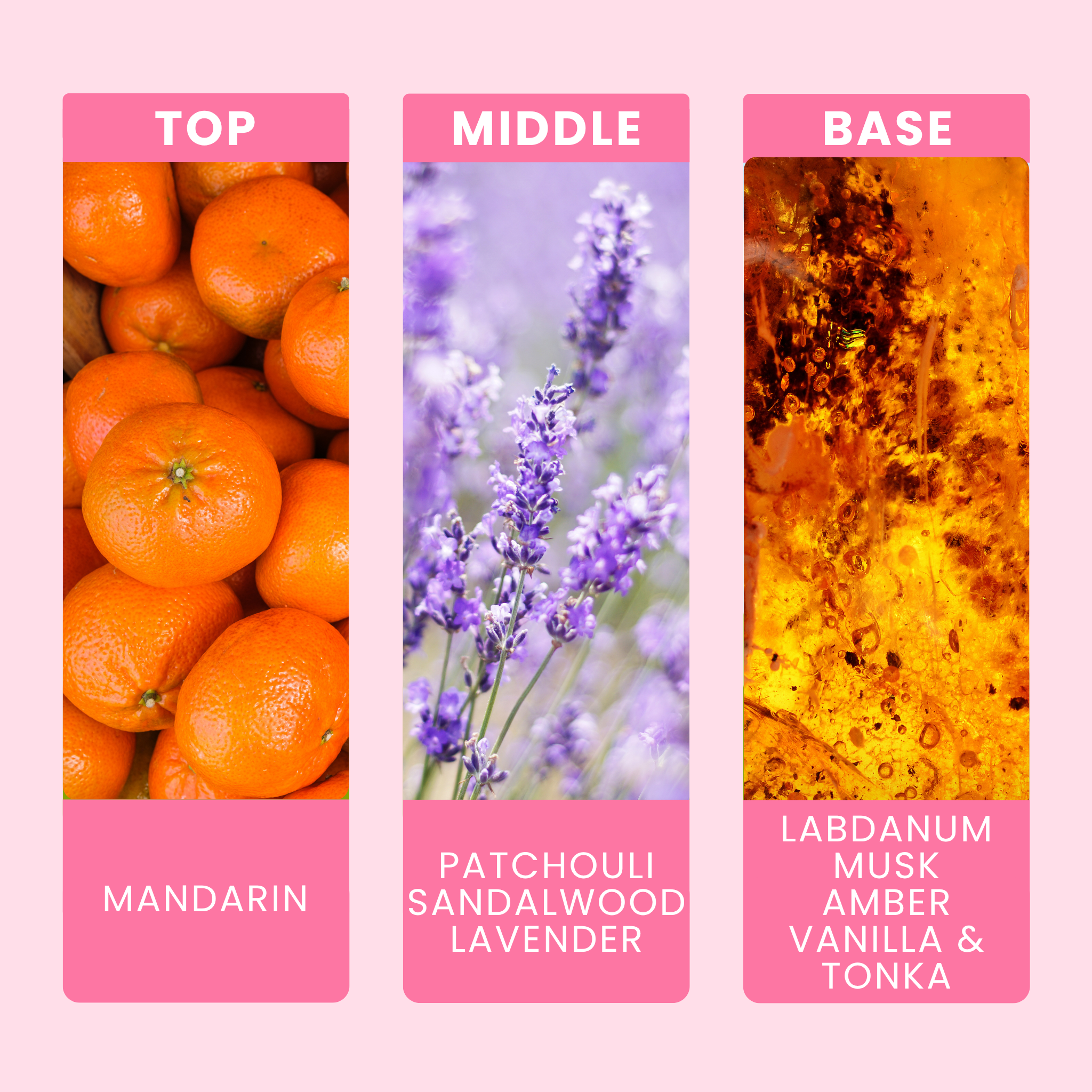 Amber Solstice Fragrance Oil Notes For Wax Melts