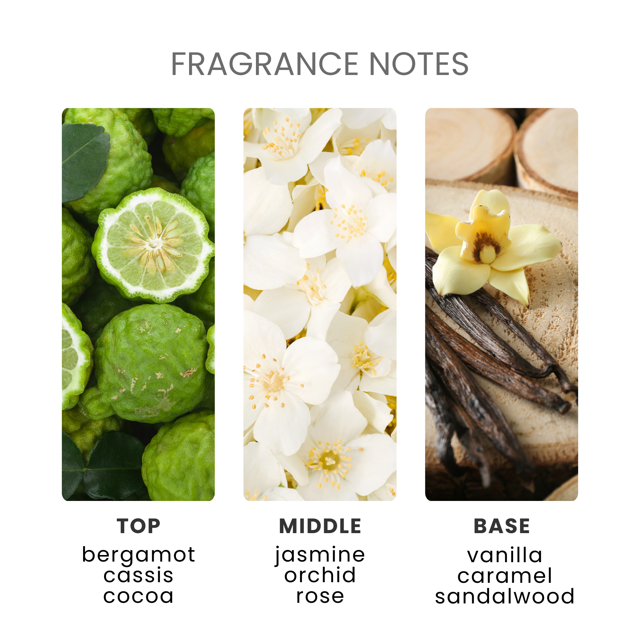 Angelic Touch Fragrance Oil Notes
