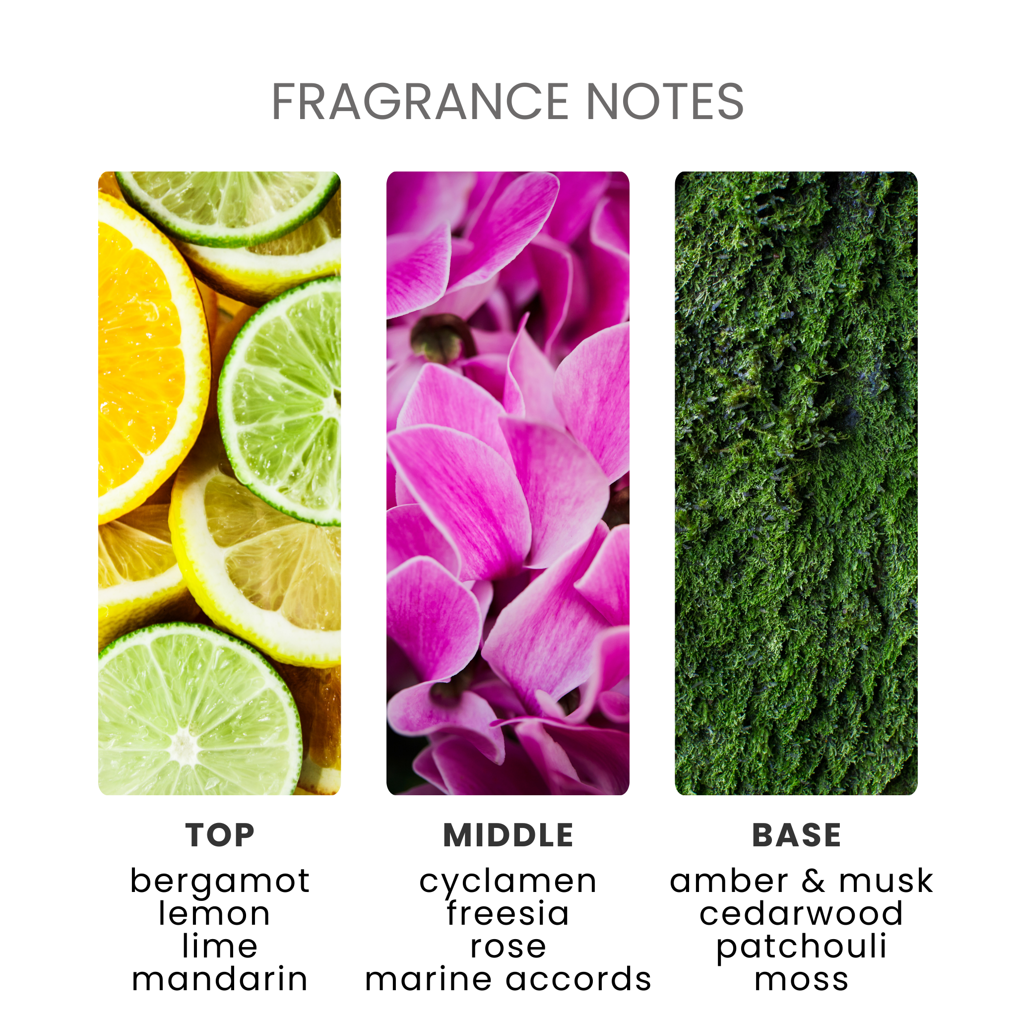 Aqua Minerals & Sea Kelp Fragrance Oil Notes