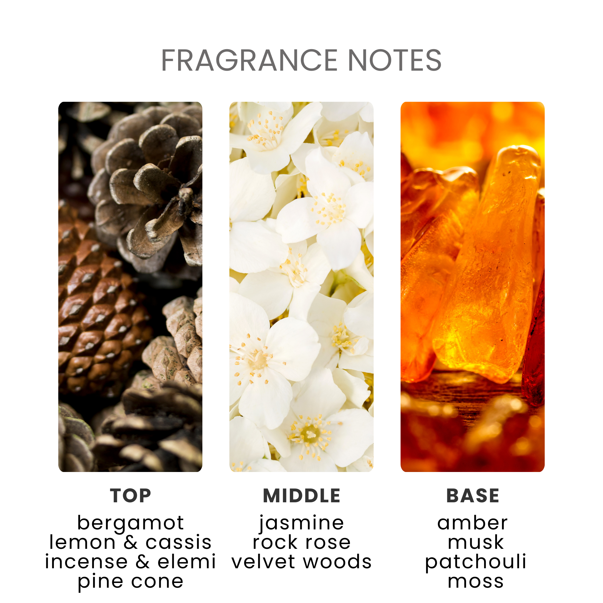 Aventos For Men Fragrance Oil Notes