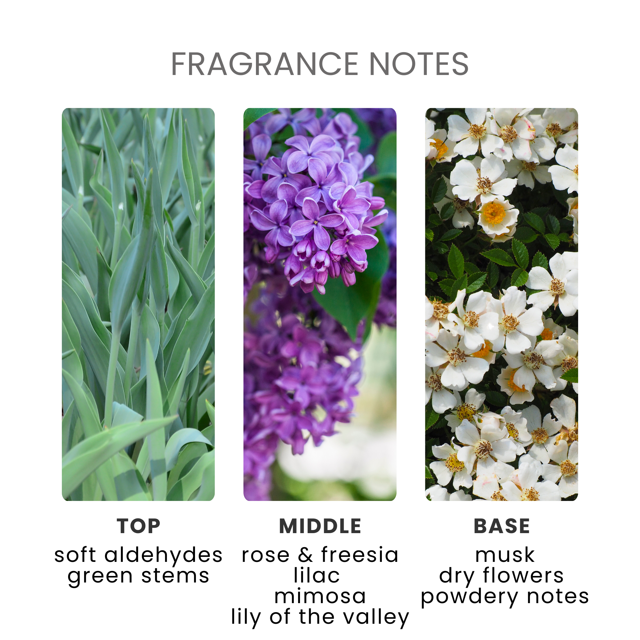 Bedtime Baby Fragrance Oil Notes