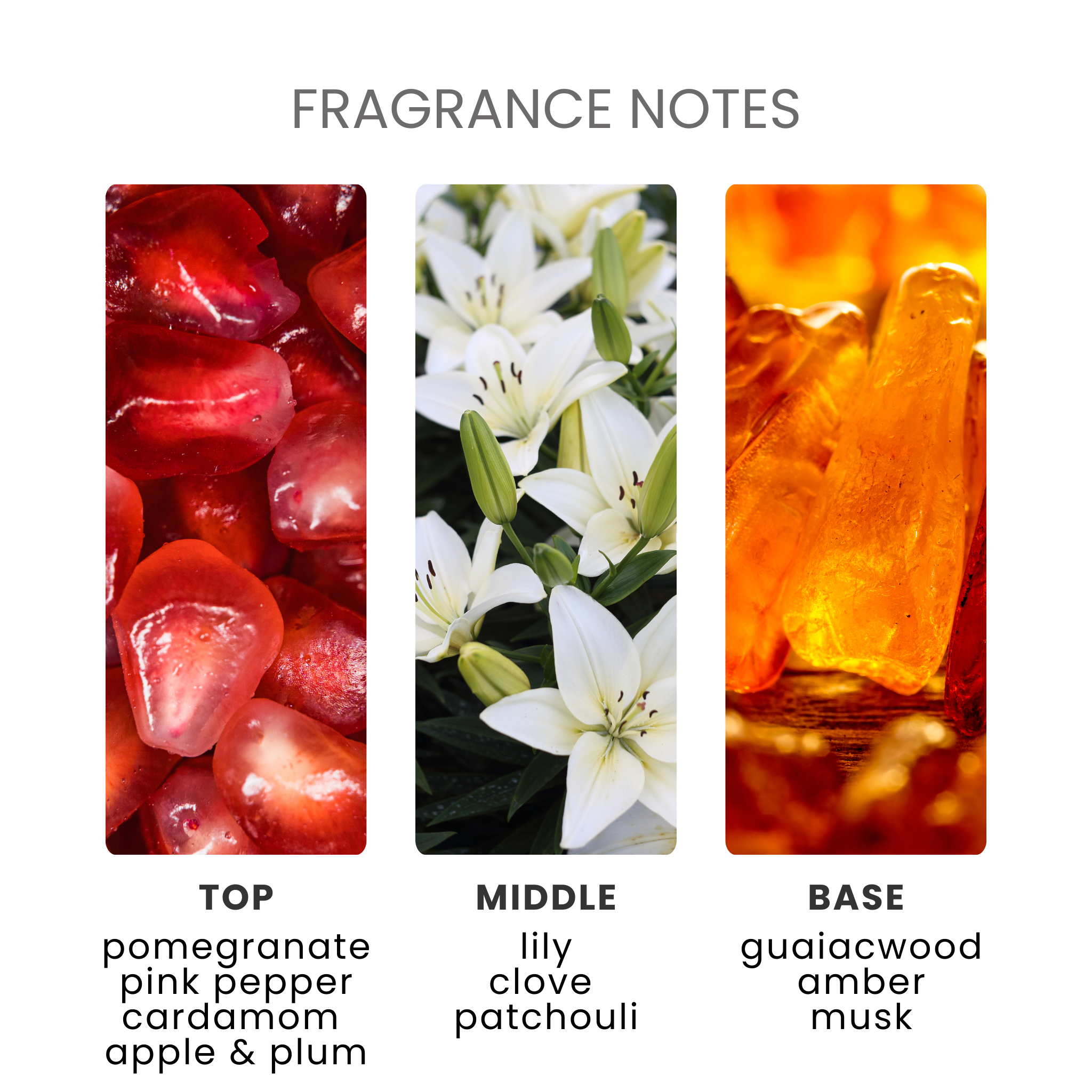 Black Pomegranate Fragrance Oil Notes