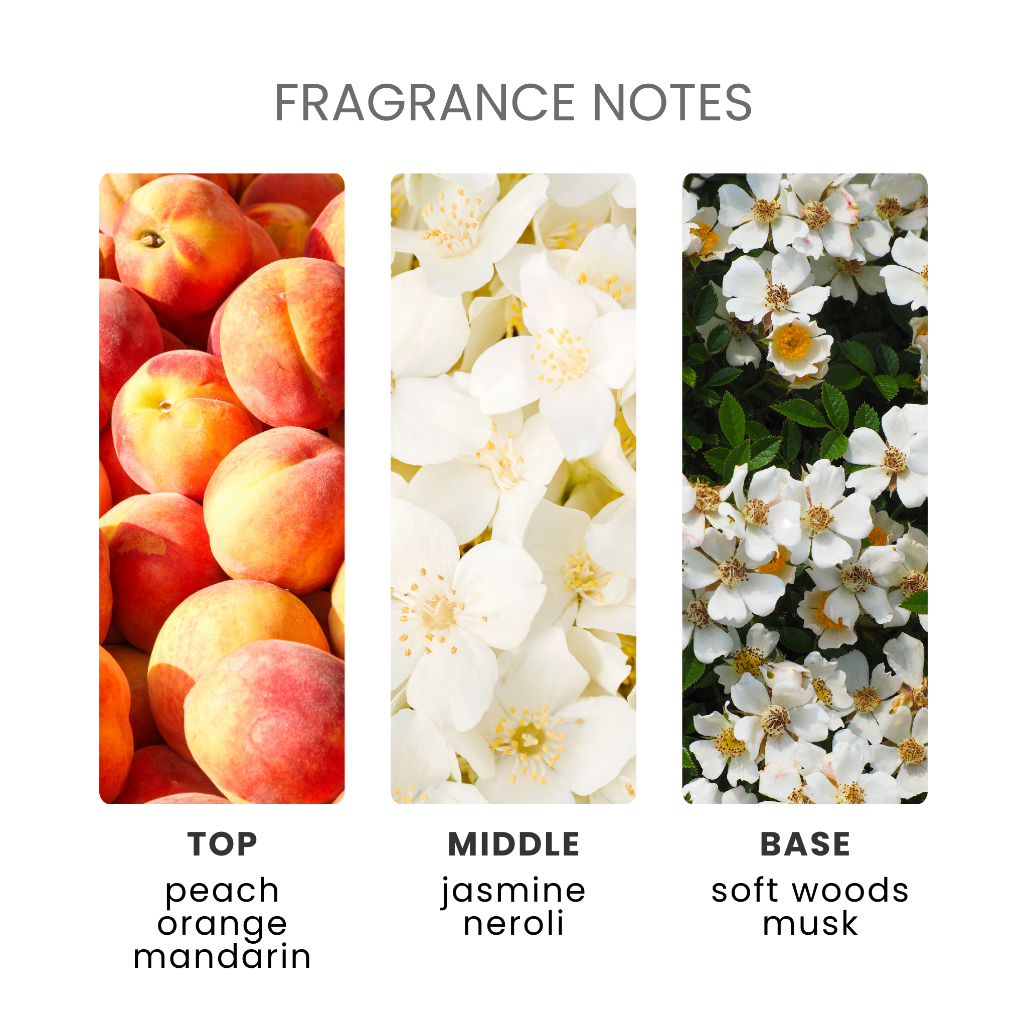 Bliss Unstoppable Fragrance Oil Notes