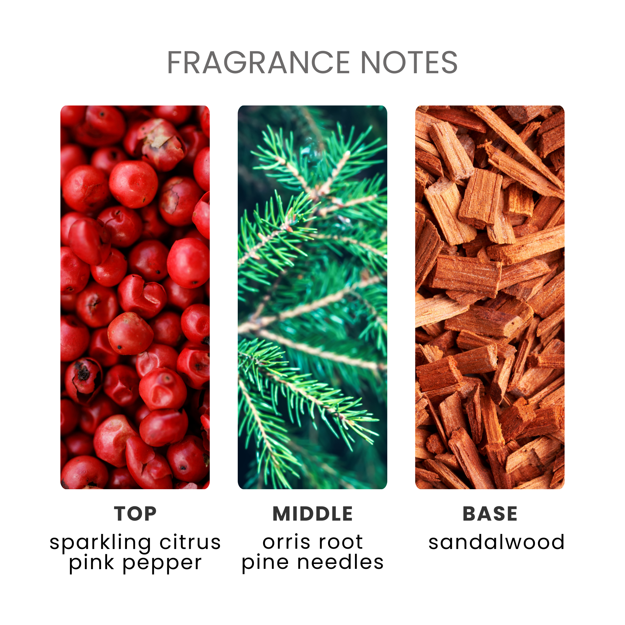 Blue Spruce & Eucalyptus Fragrance Oil Notes