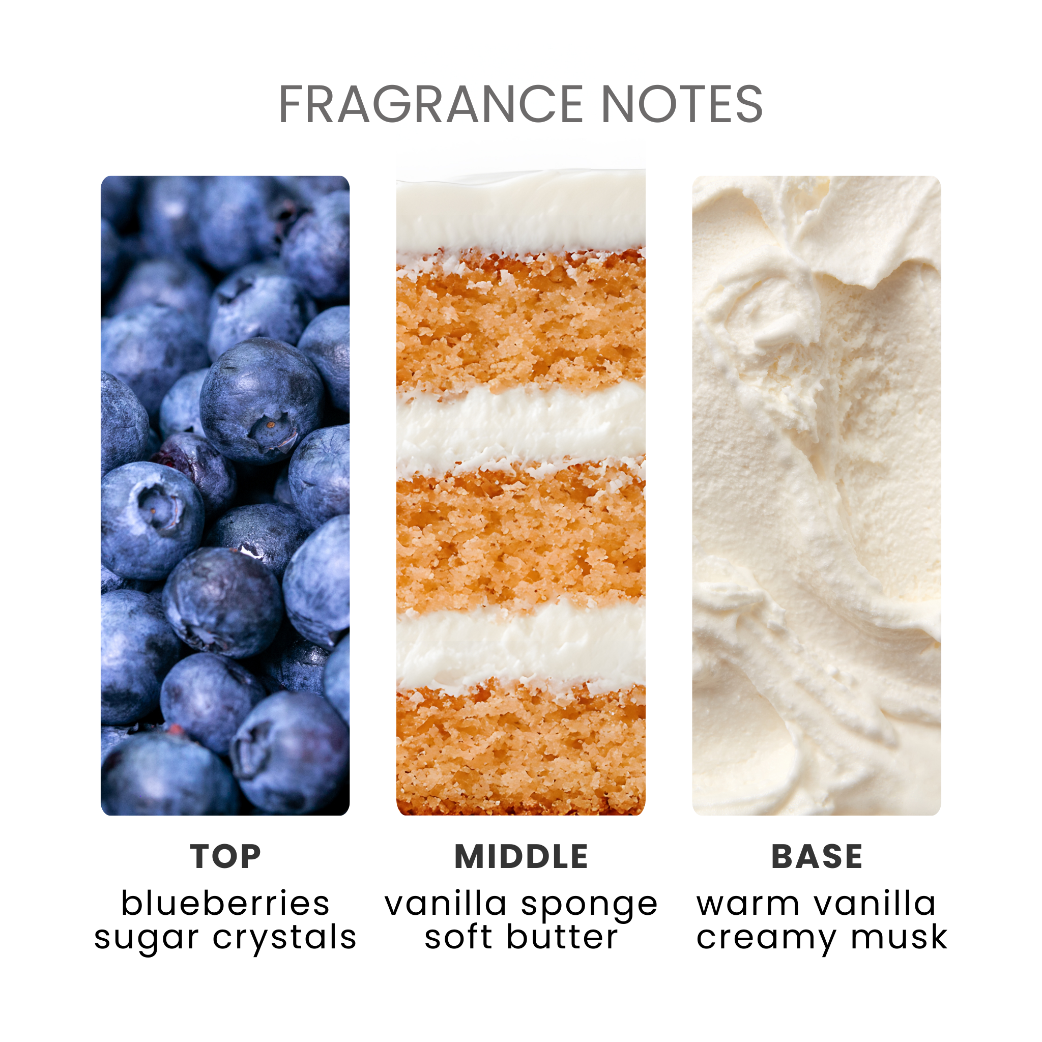Blueberry Muffin Fragrance Oil Notes