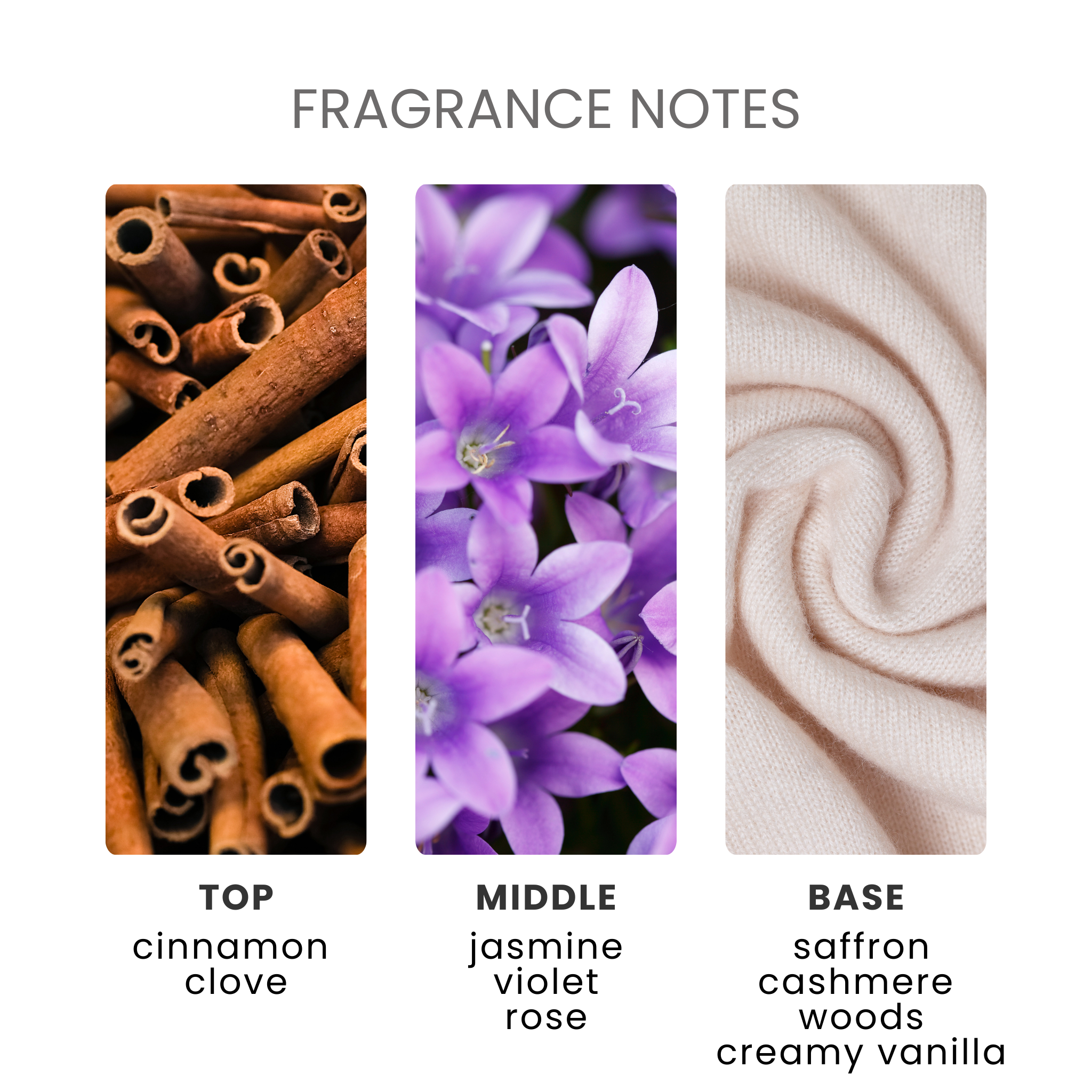 Cashmere & Musk Fragrance Oil Notes