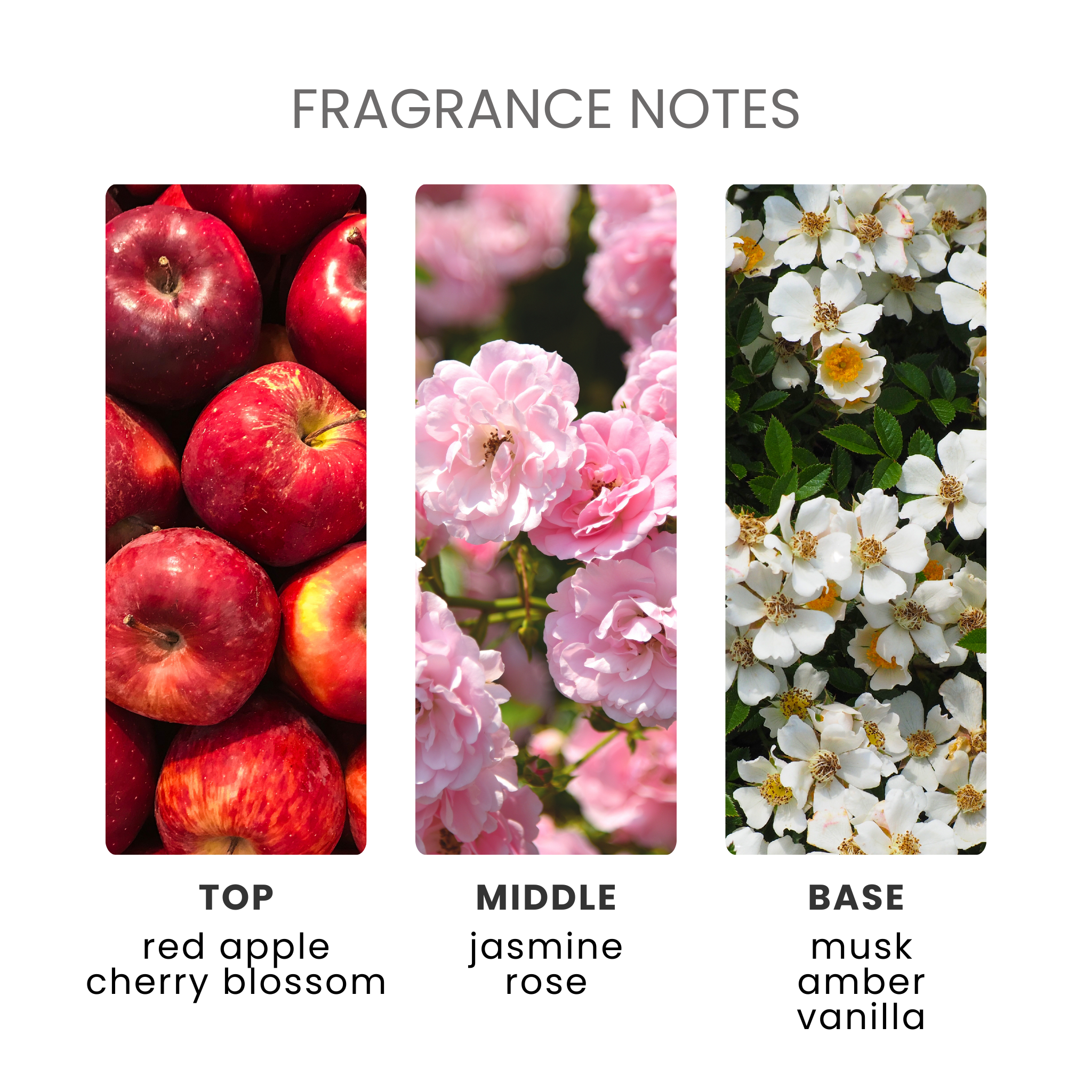 Cherry Blossom Fragrance Oil Notes