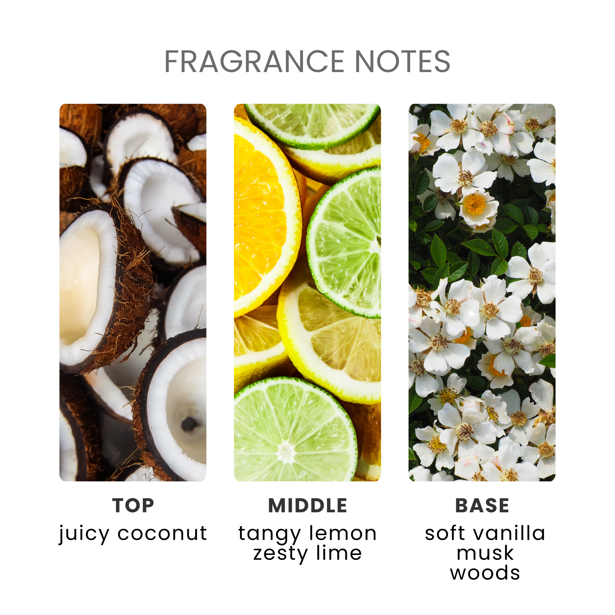 Coconut & Lime Fragrance Oil Notes