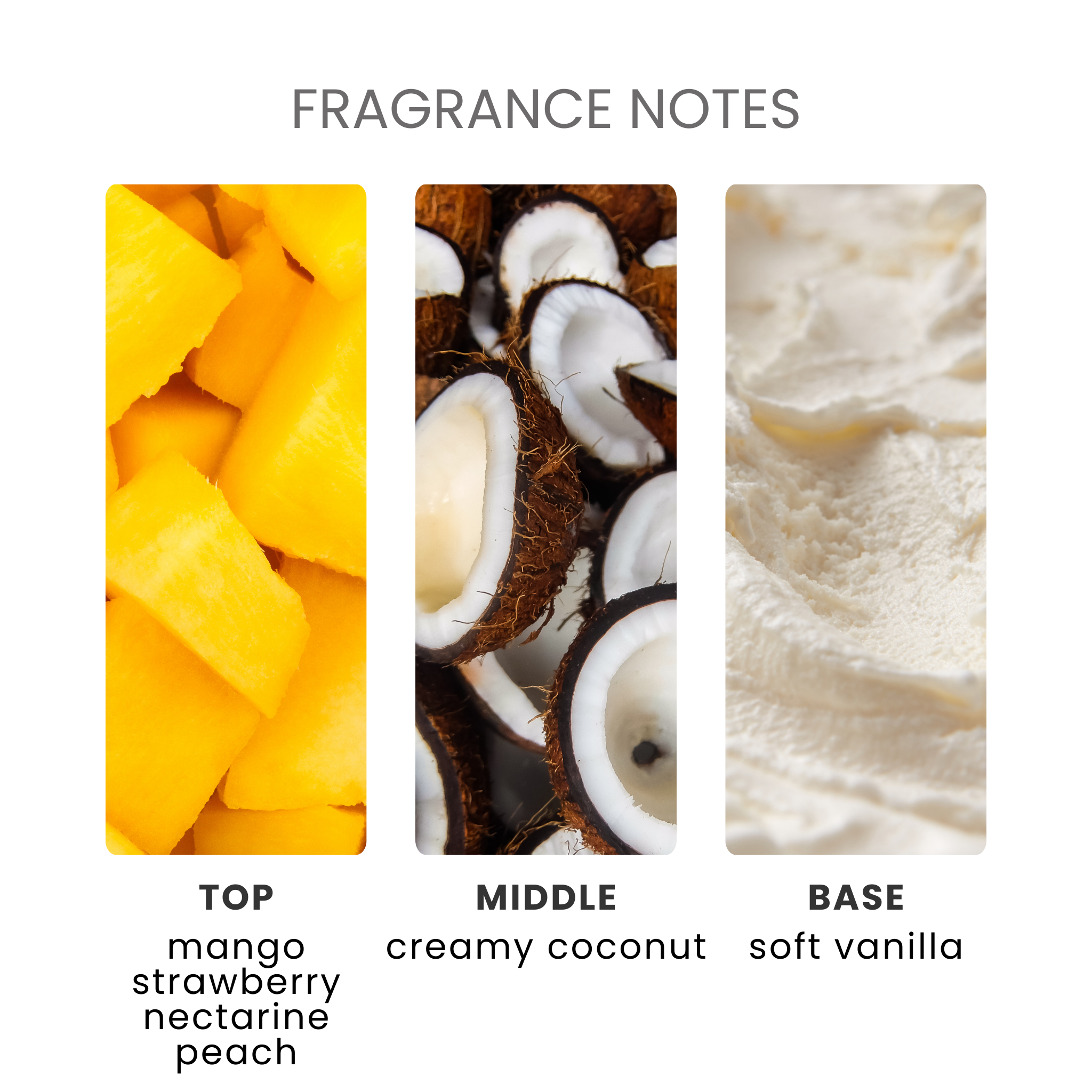 Coconut & Mango Fragrance Oil Notes