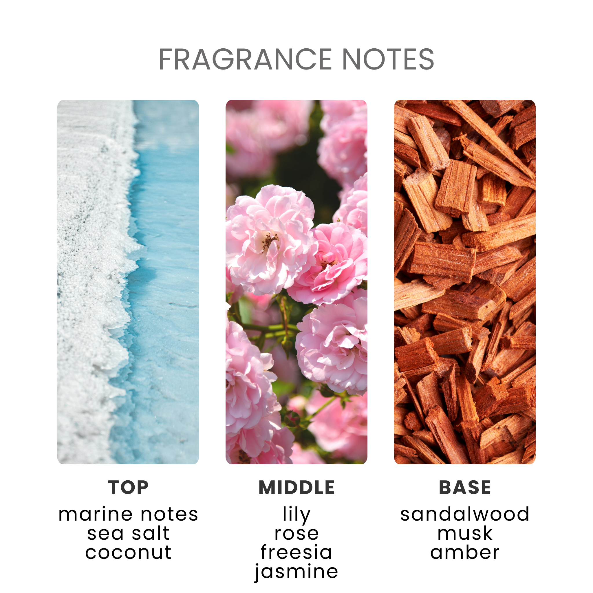 Coconut & Waterfall Blooms Fragrance Oil Notes