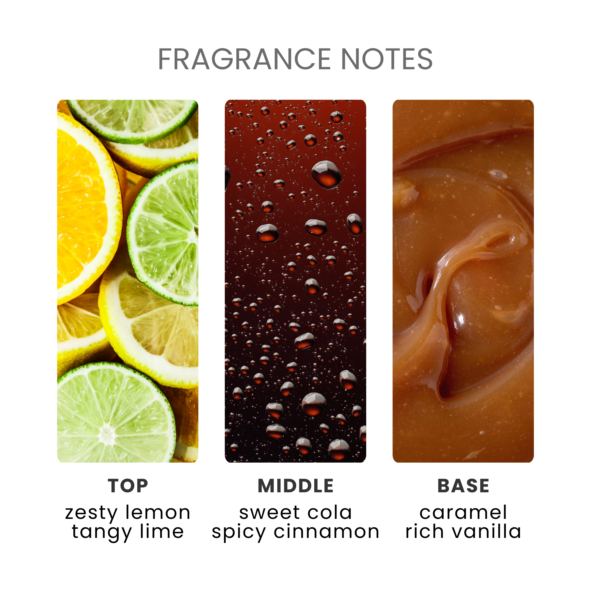 Cola Bottles Fragrance Oil Notes