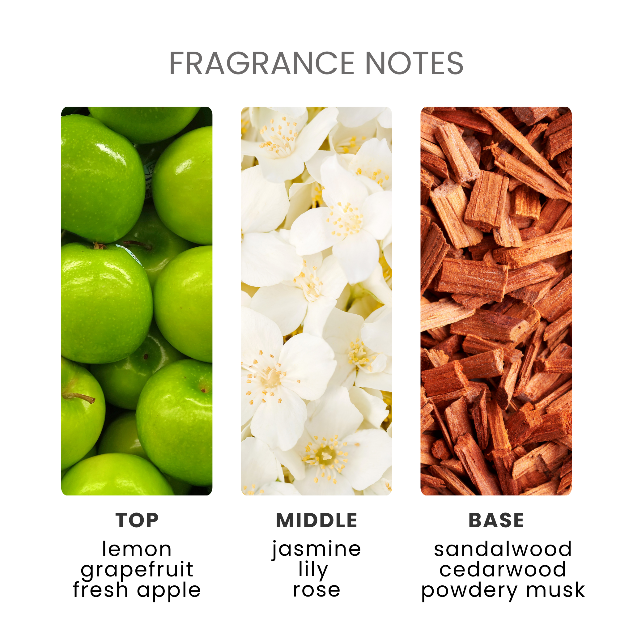 Daisy Chain Fragrance Oil Notes