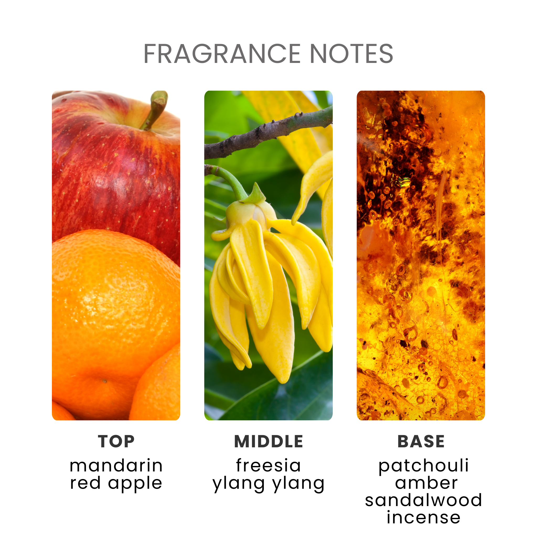 Dragons Blood Fragrance Oil Notes
