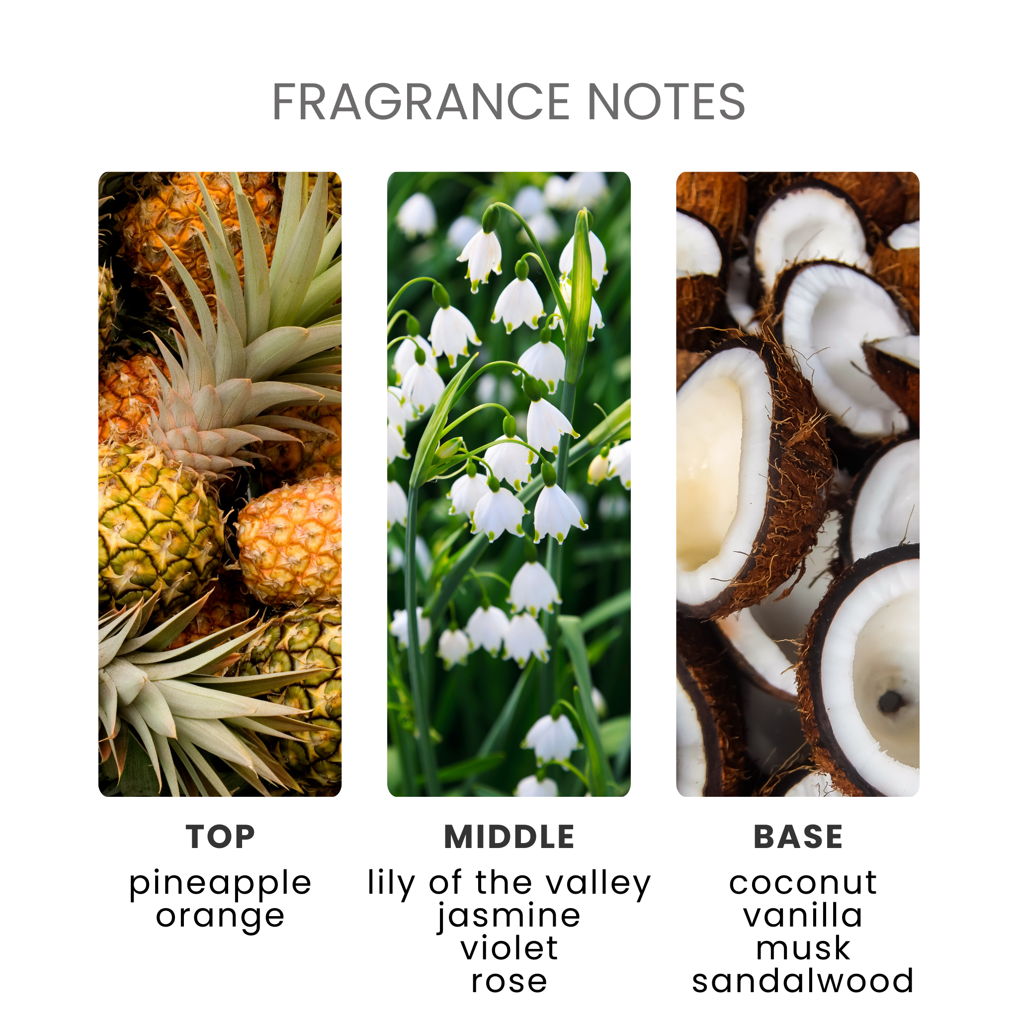 Dreams Unstoppable Fragrance Oil Notes
