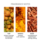 Egyptian Amber Fragrance Oil Notes