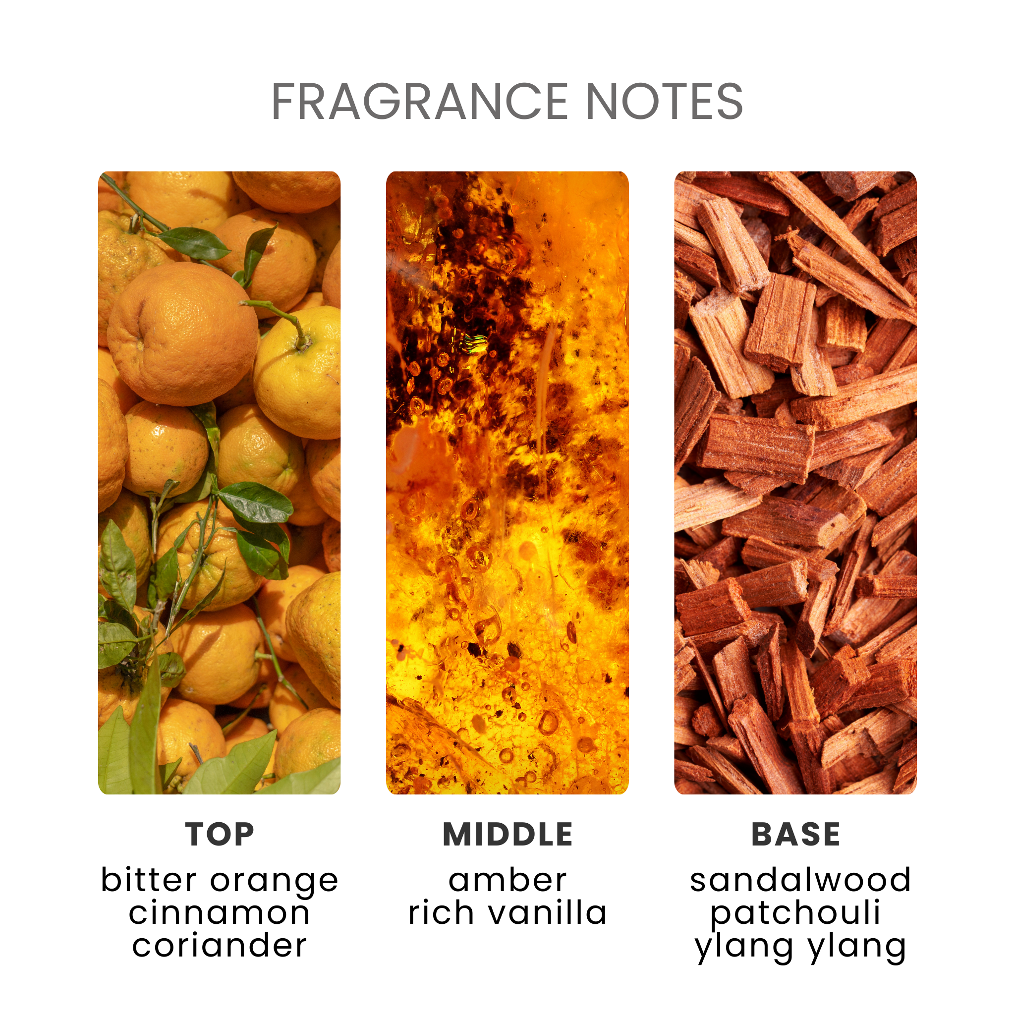 Egyptian Amber Fragrance Oil Notes