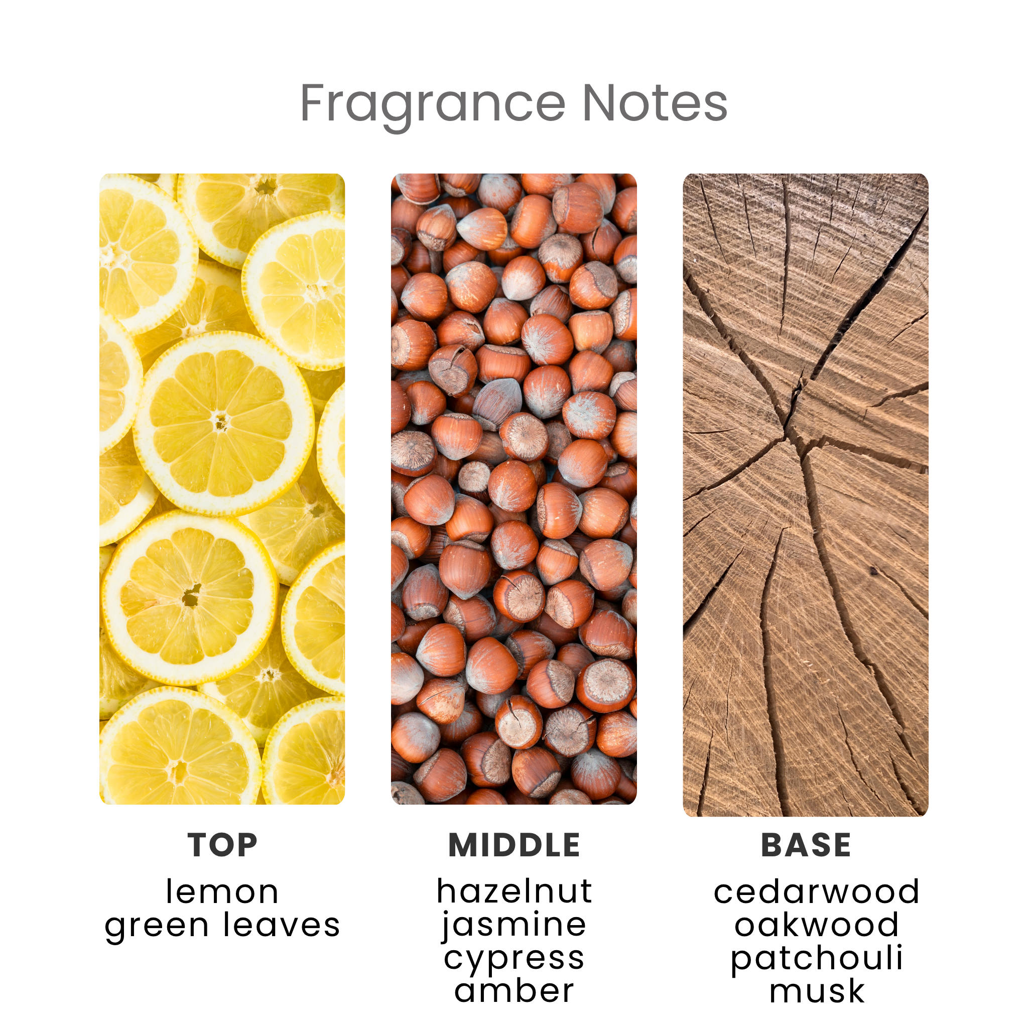 English Oak & Hazelnut Fragrance Oil Notes