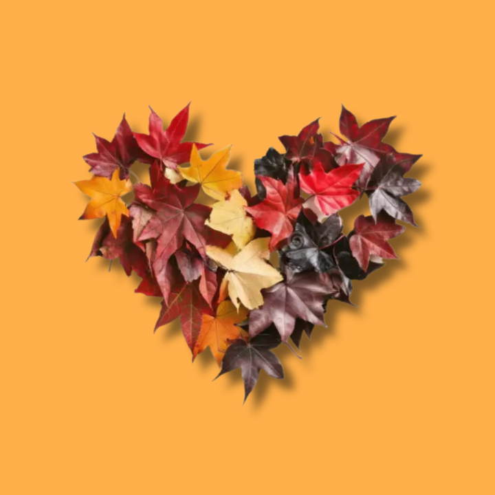 Falling For You Fragrance Oil