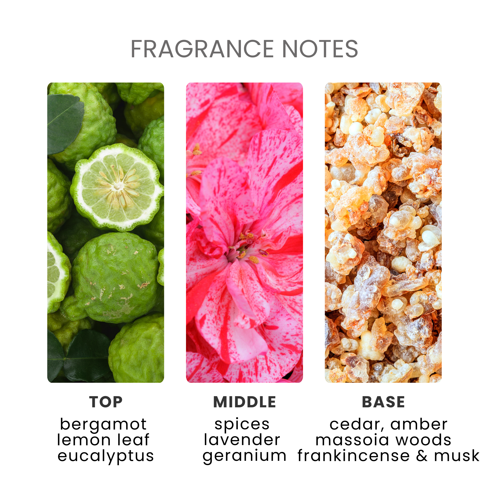 Falling For You Fragrance Oil Notes