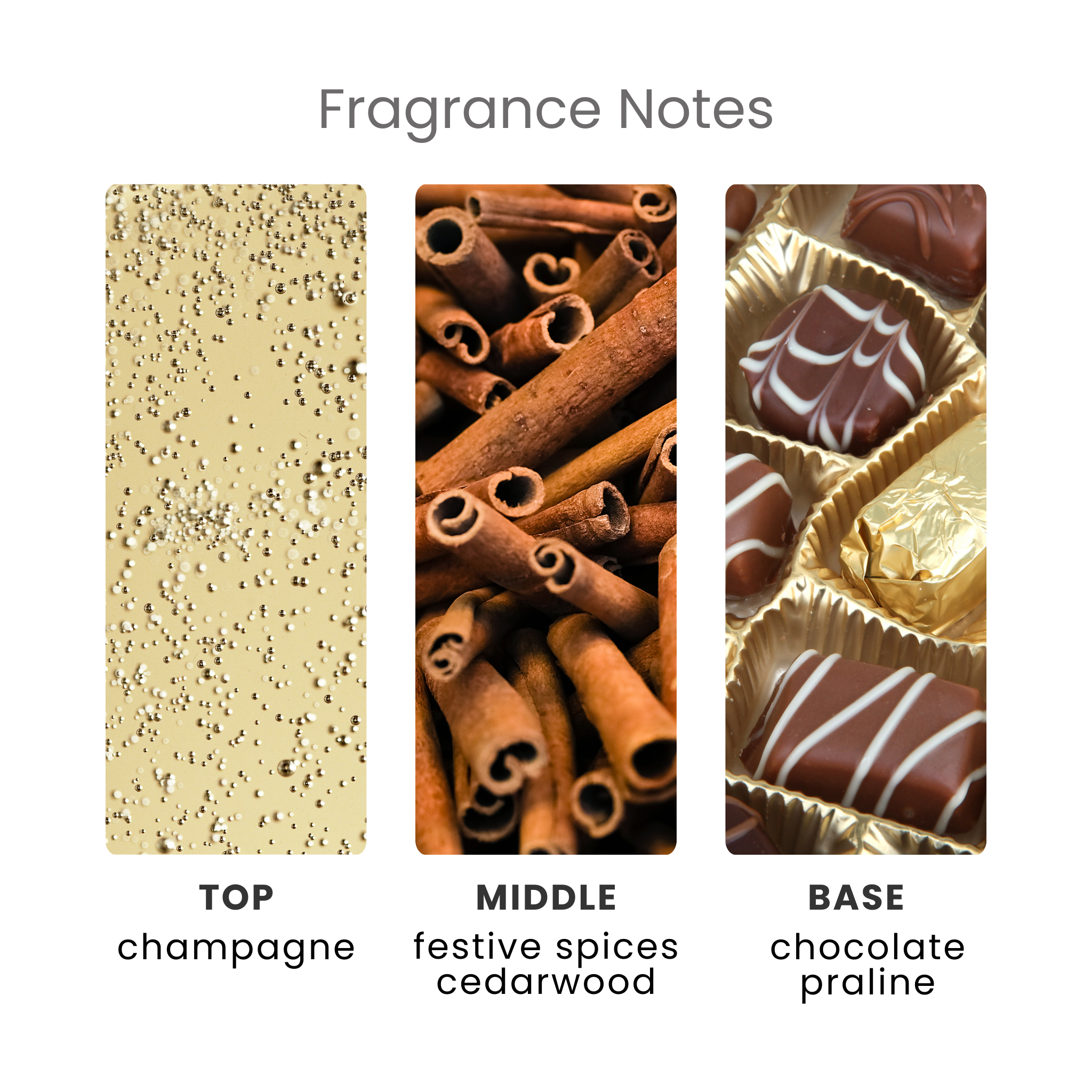 Festive Fizz Fragrance Oil Notes
