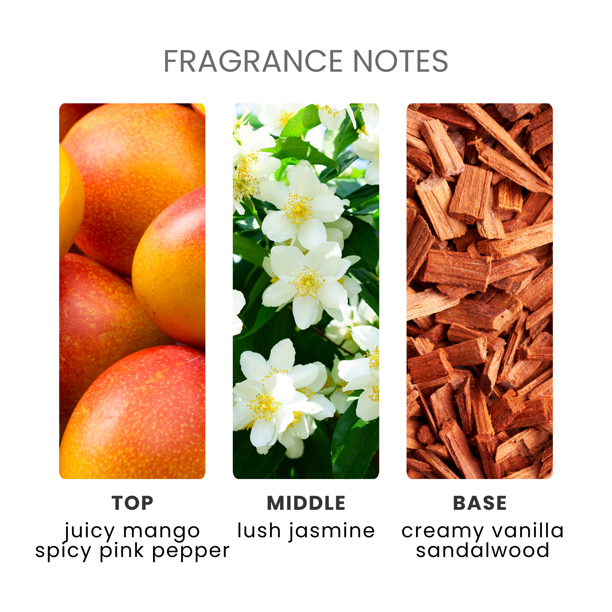 Flaming Pink Pepper Fragrance Oil Notes