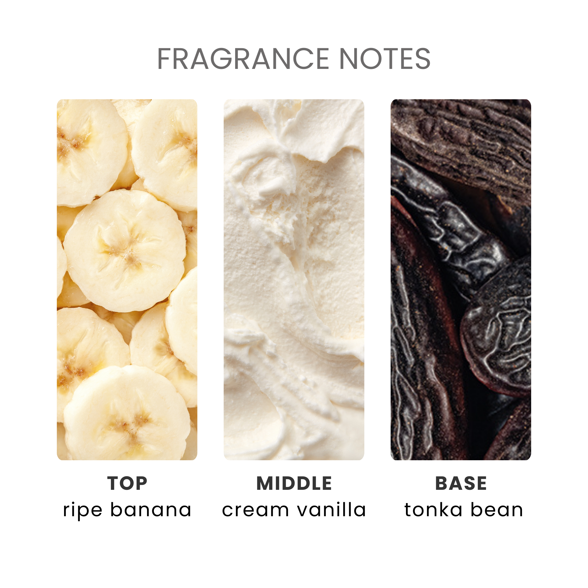 Foam Banana Fragrance Oil Notes