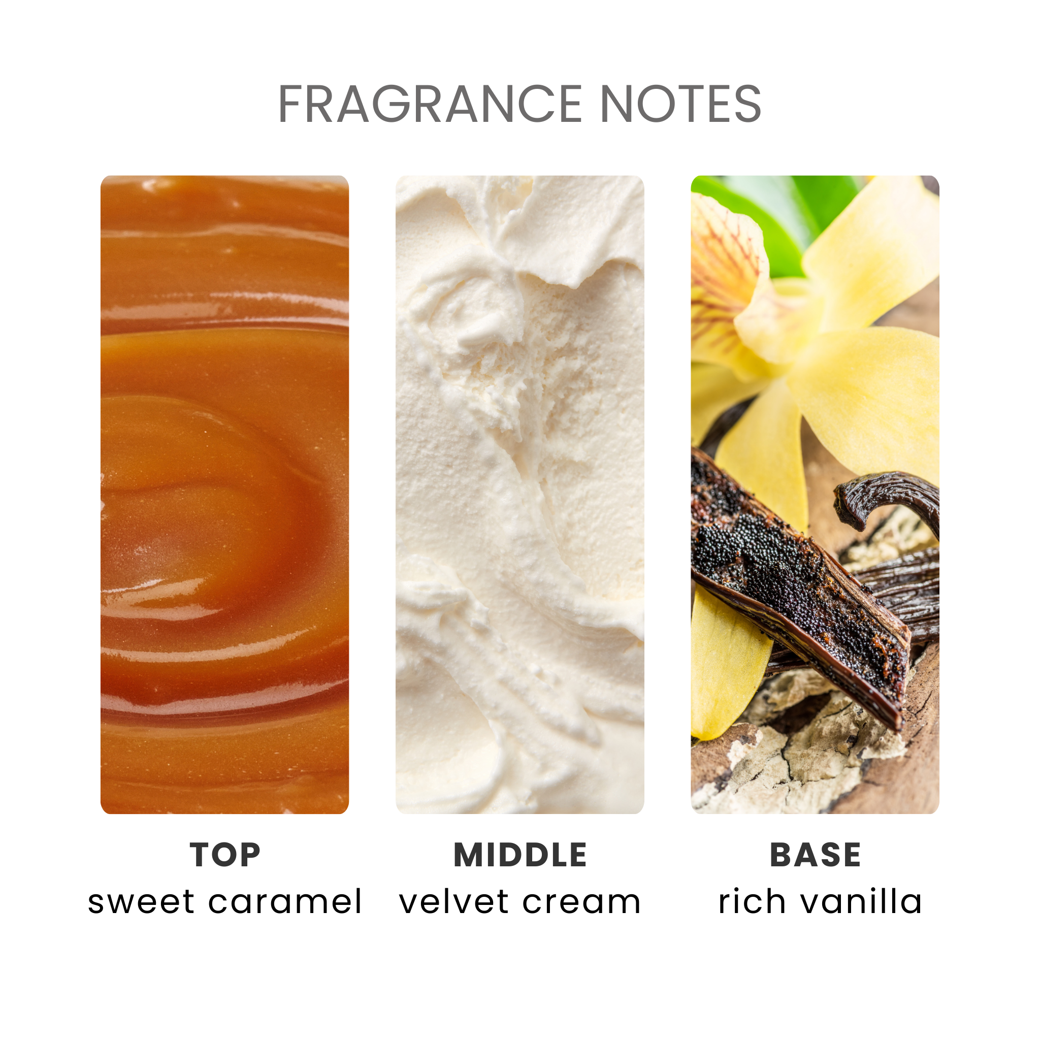 French Vanilla Fragrance Oil Notes