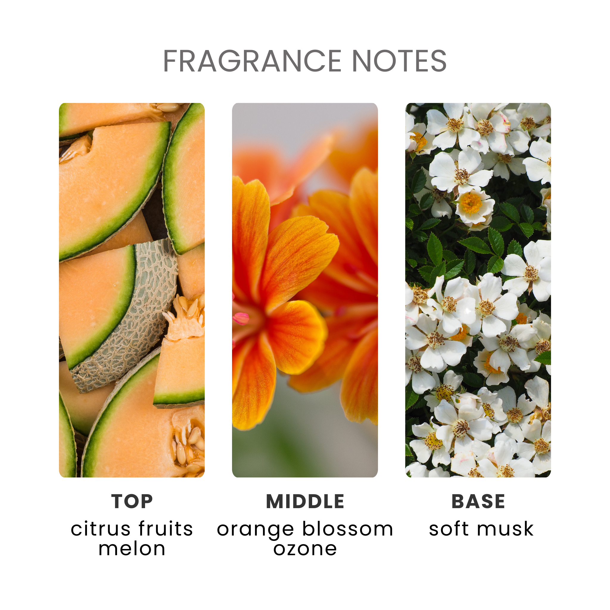 Fresh Linen Fragrance Oil Notes