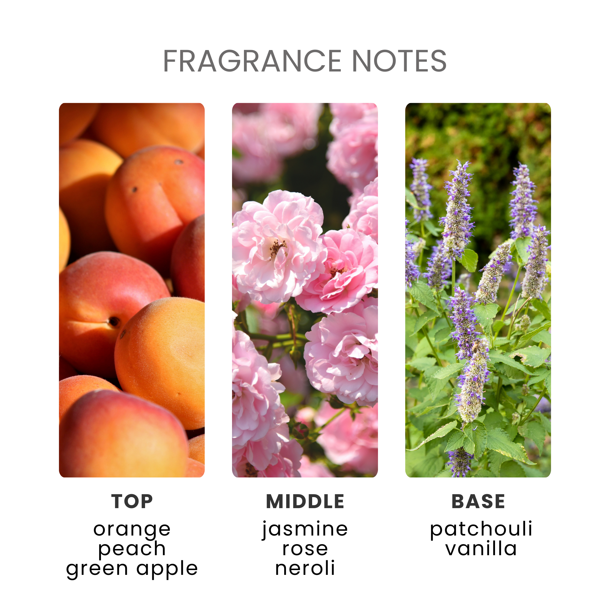 Fresh Unstoppable Fragrance Oil Notes
