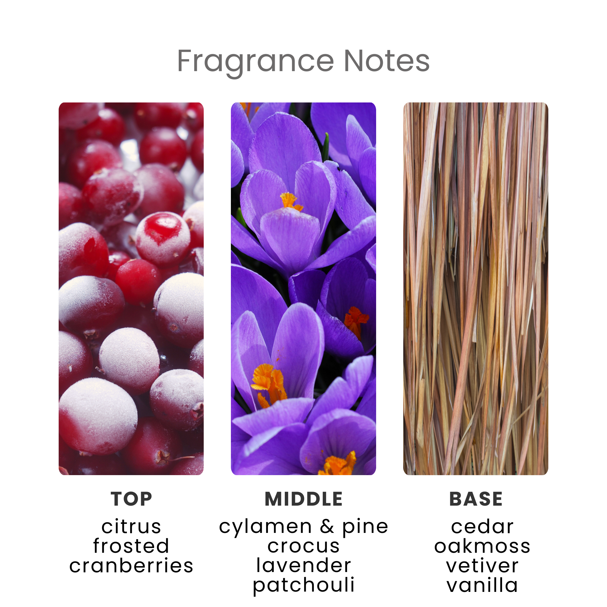 Frosted Citrus Forest Fragrance Oil Notes