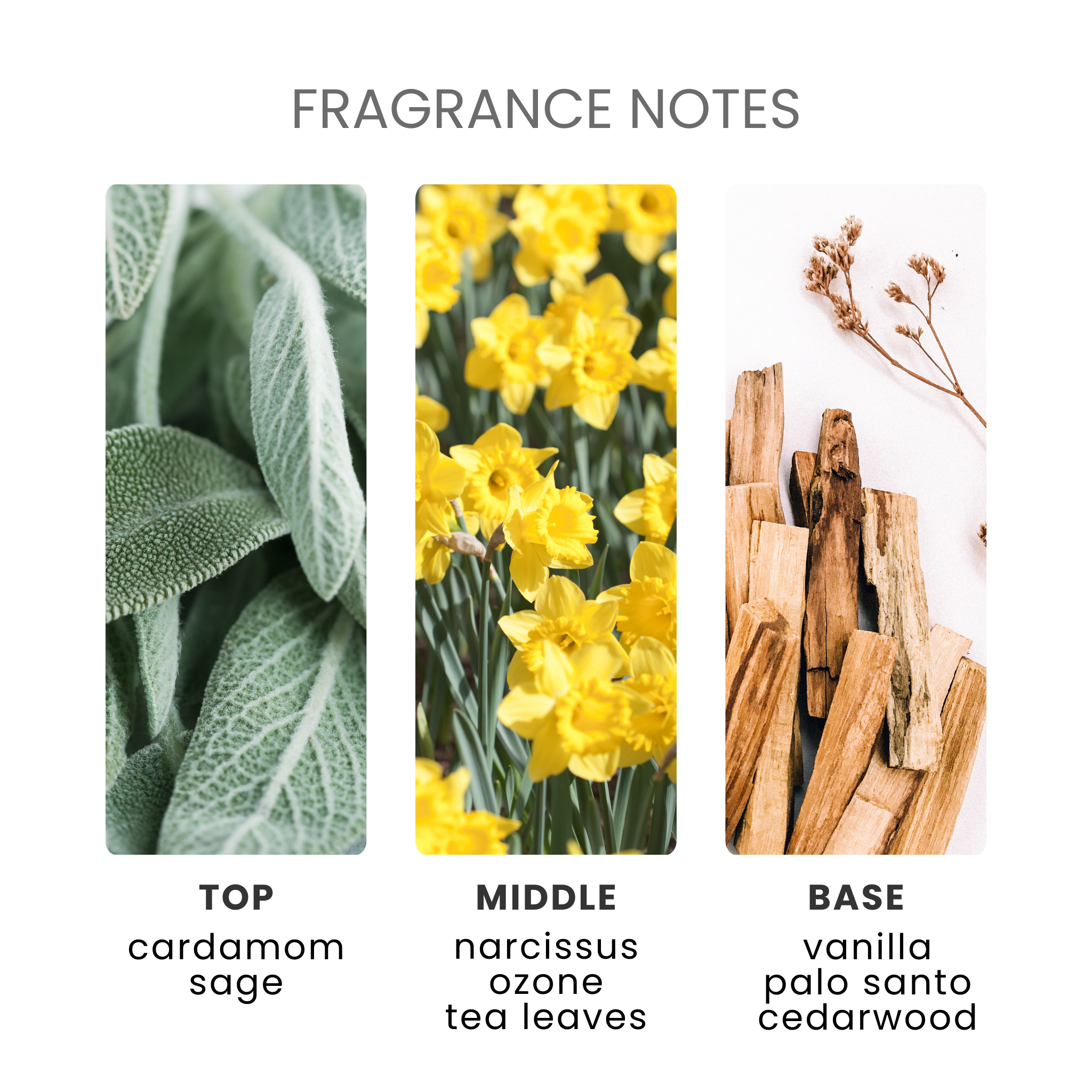 Frosted Winter Showers Fragrance Oil Notes