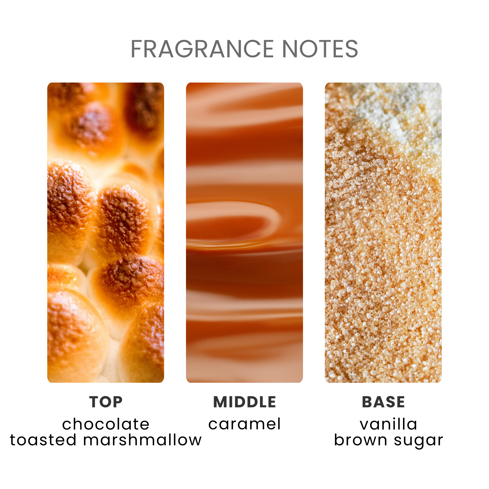 Gimme S'more Fragrance Oil Notes
