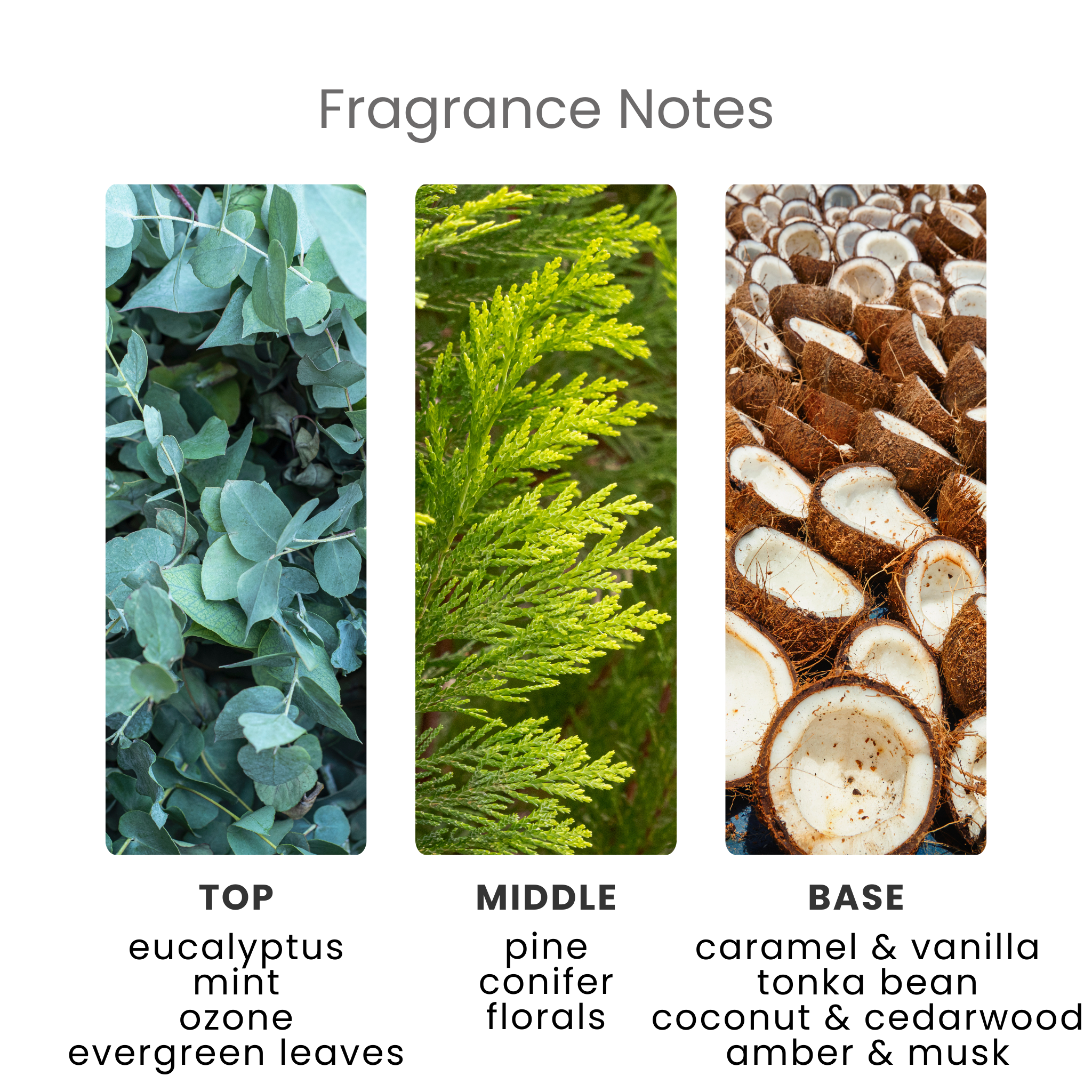 Gliding on Ice Fragrance Oil Notes
